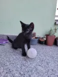 Não tem nome
