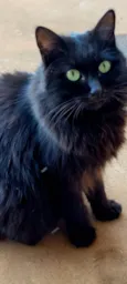 Tina