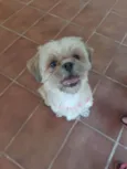 Não sei