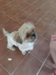 Não sei