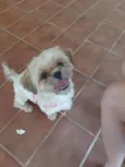 Não sei