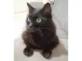 Tina