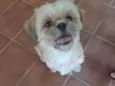 Não sei