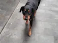 Julie