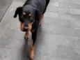 Julie