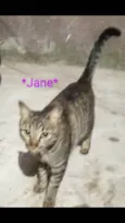 Jane