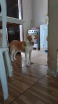 Cloe