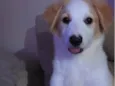Cloe