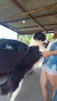 Floquinho 