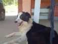 Marley