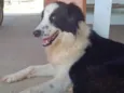 Marley