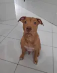 Spike