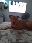 Spike
