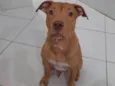 Spike