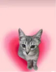 Nikki bb3meses Linda