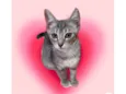 Nikki bb3meses Linda
