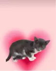 Jimmy bb3meses maravilhoso e um amor