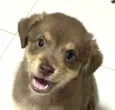 Bruce 
