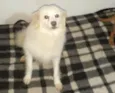 PIERRE
