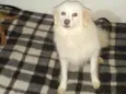 PIERRE