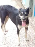 MENINA 