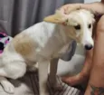 BILLY