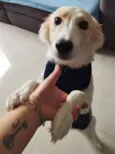 BILLY