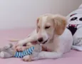 BILLY
