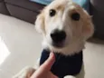 BILLY