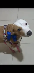 Charlene