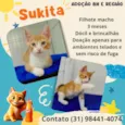 Sukita