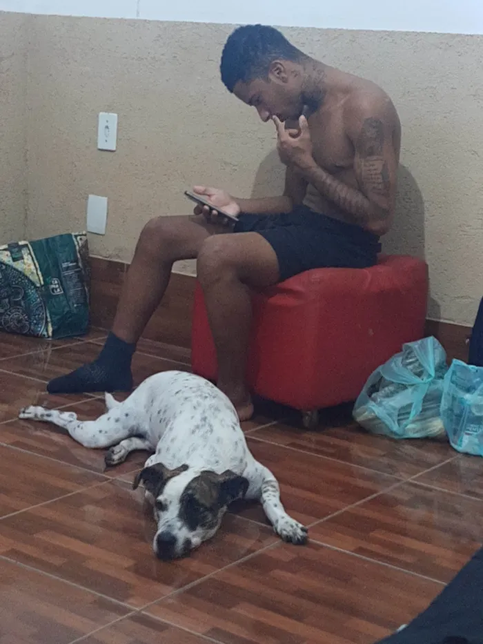Cachorro ra a SRD idade 2 anos nome Floquinho 