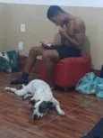 Floquinho