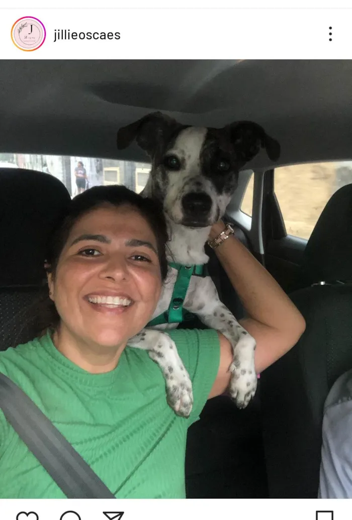 Cachorro ra a SRD idade 2 anos nome Floquinho 