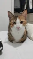 Mel