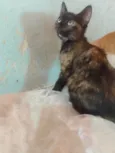 ..