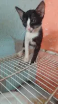 .........