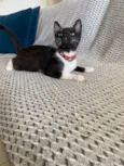 Mia