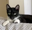 Mia