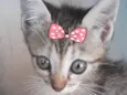 Sissi 