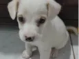 TIQUINHO