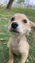 Rubi
