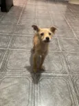 Rubi