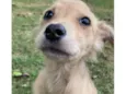 Rubi