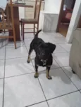Bob