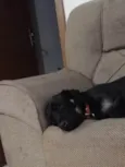 Bob