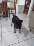 Bob