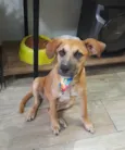 Kalee
