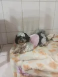 SOPHIA