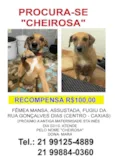 Cheirosa